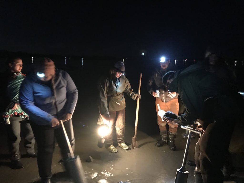 Clam digging in Washington state