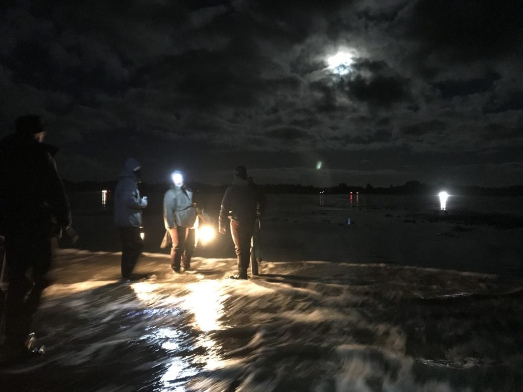 Clam digging in Washington state