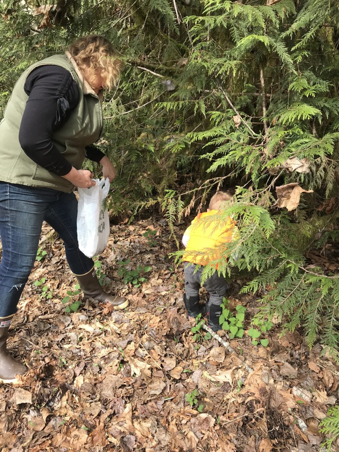 Join the Morel Mushroom Hunt! Explore Washington