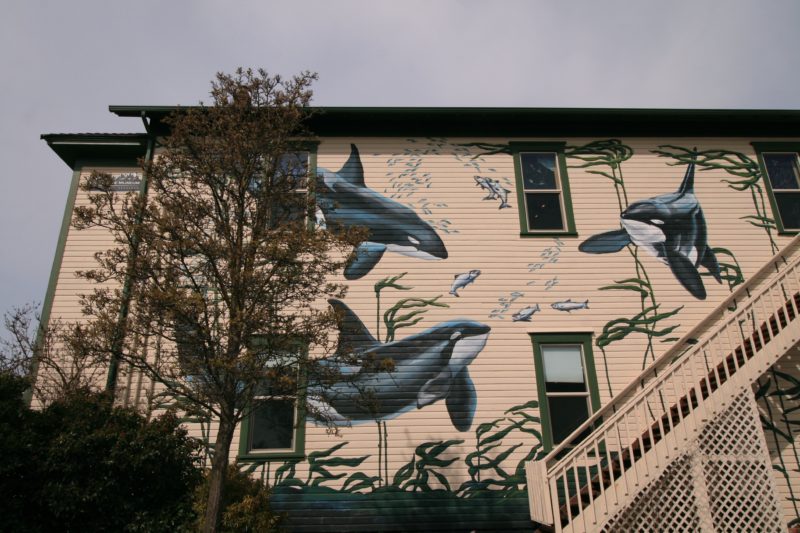 Whale Museum in San Juan Island, Washington