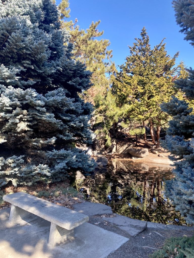 pond and bench