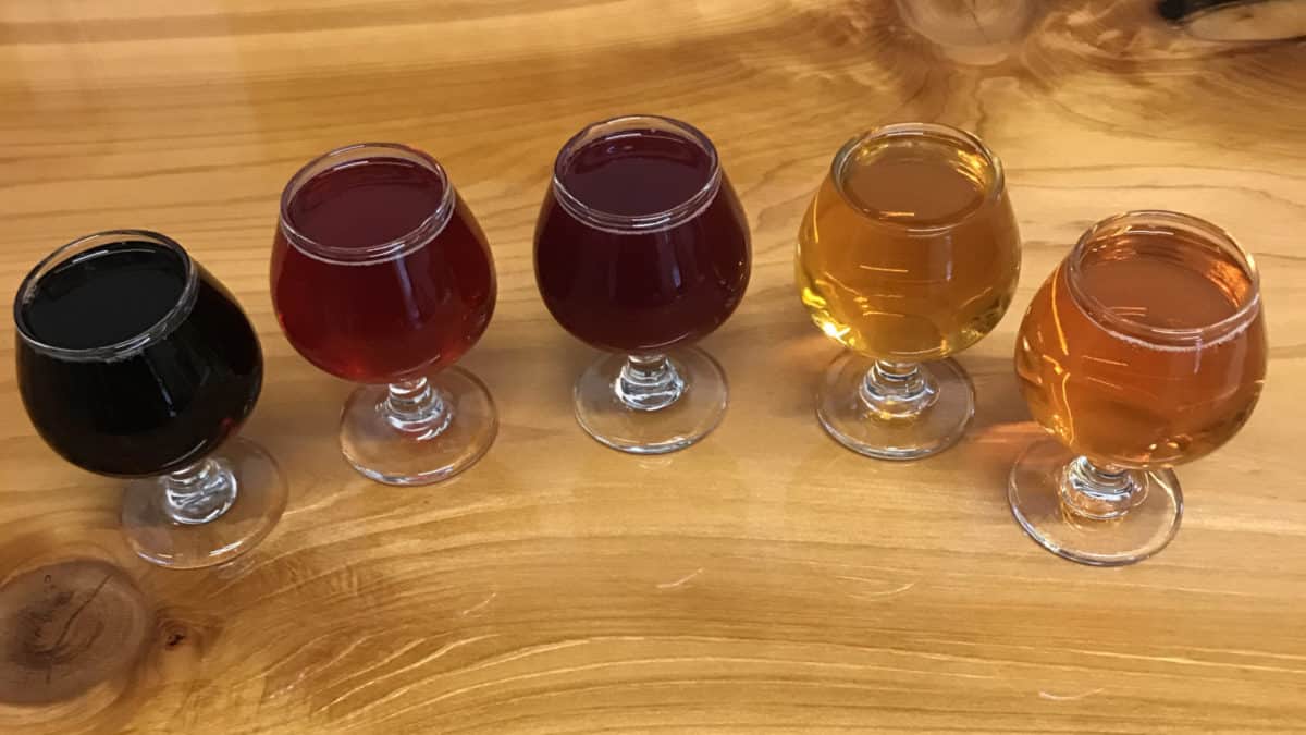 Cider flight
