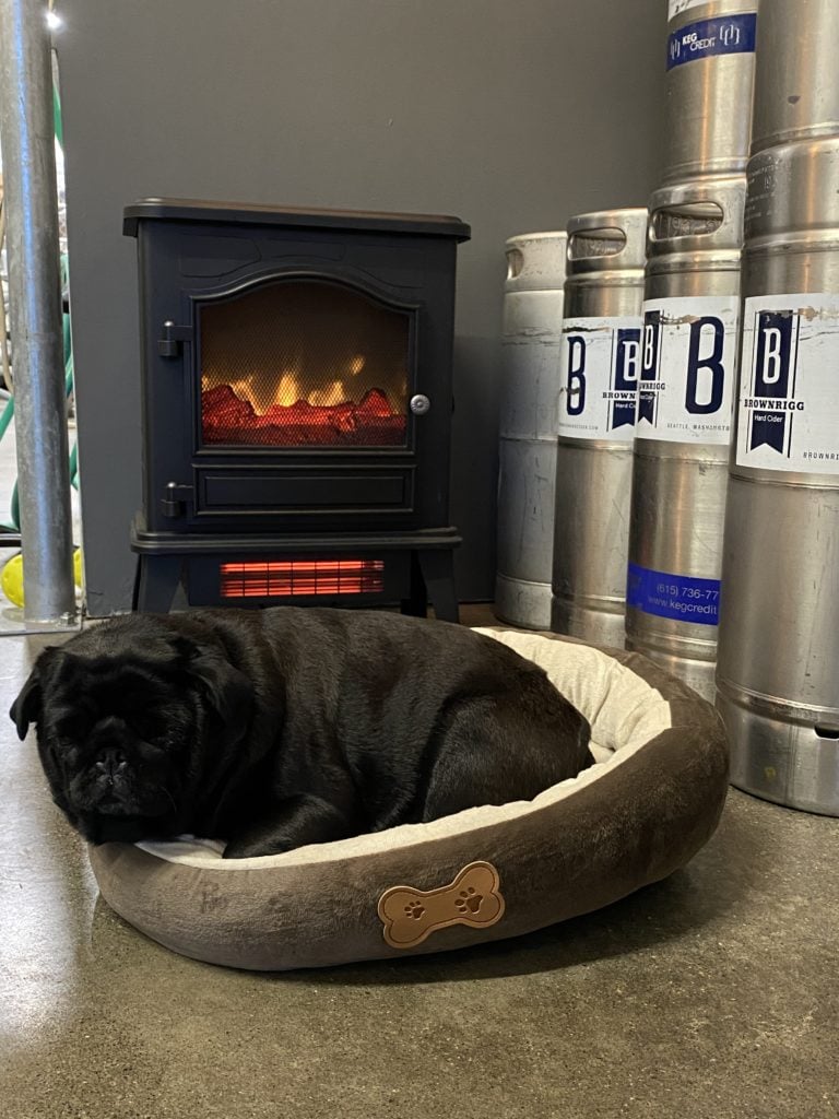Millie Bobbie Brewing cider, 5 Urban Washington Cideries You Should Know About