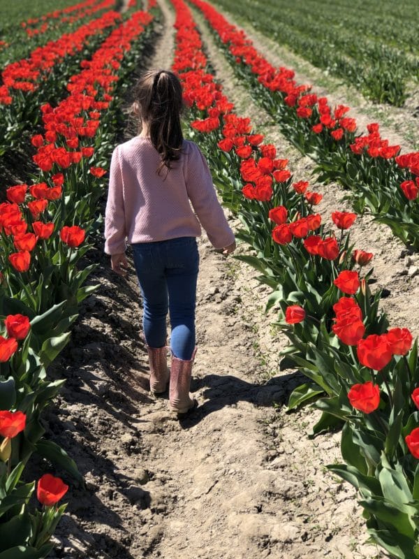 walking through red tulip fields in Tulip Town, Skagit Valley