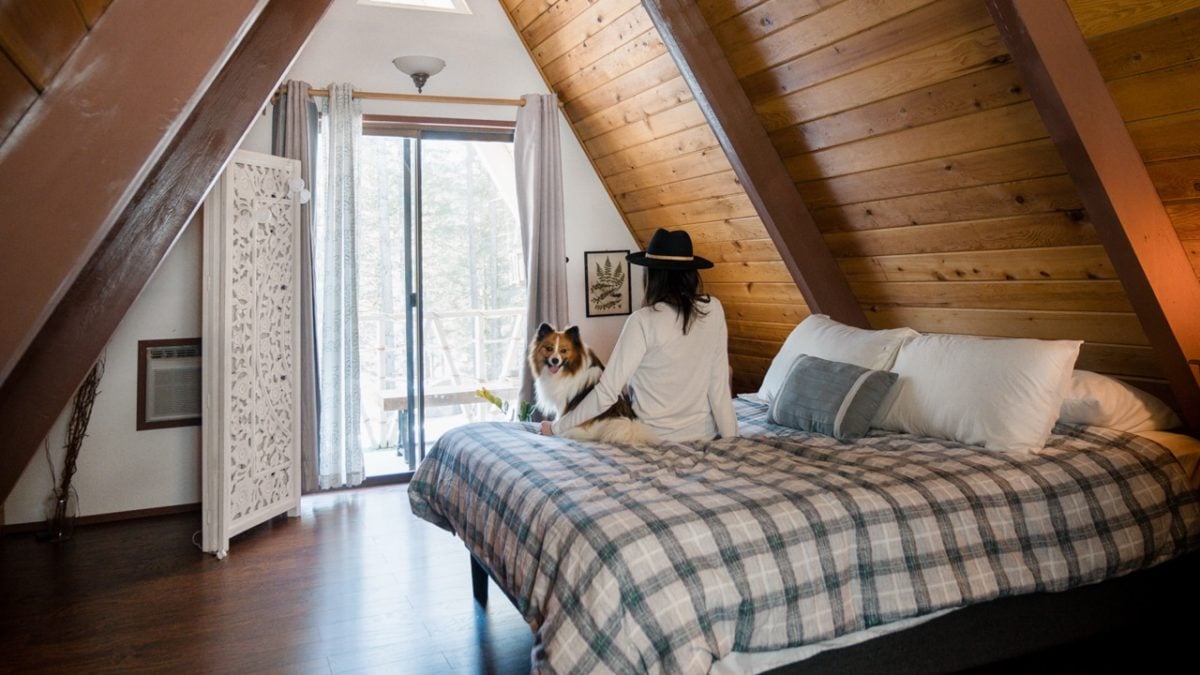 little bear cabin