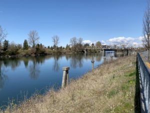 Skagit River walk in Mount Vernon