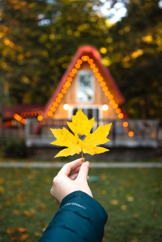 Hand holding a leaf in front of a cabin