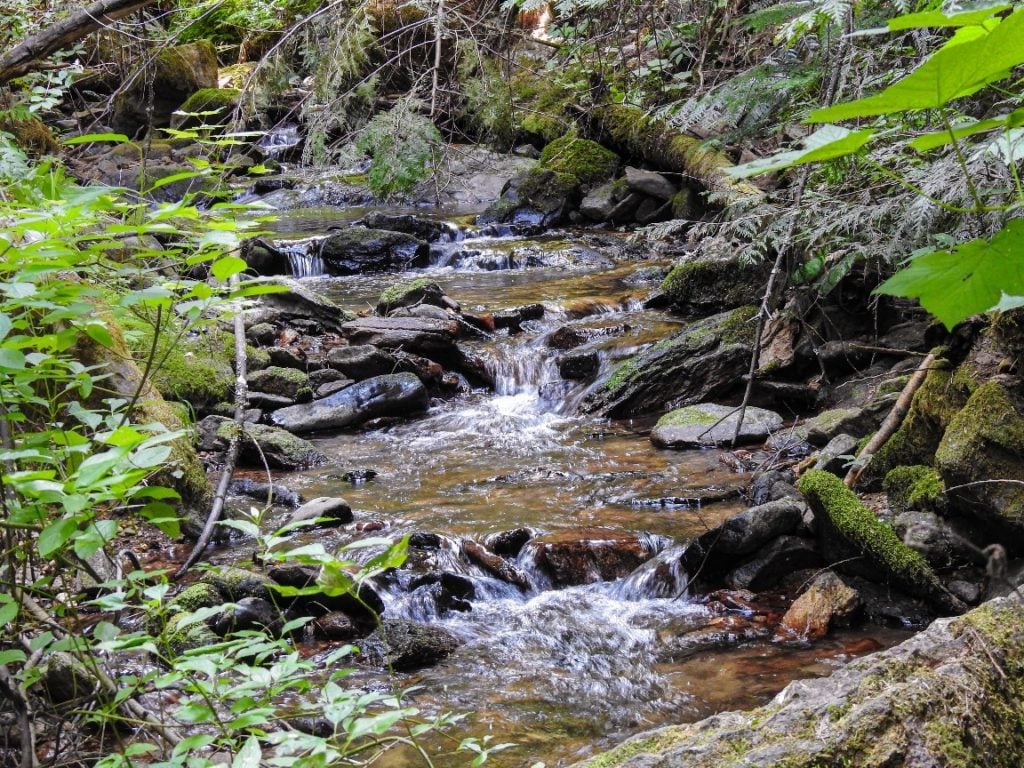liberty lake trail