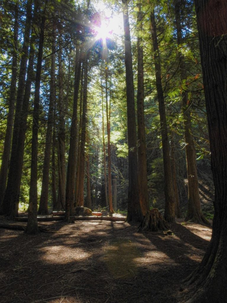 liberty lake trail