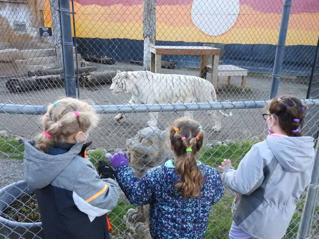 Cat Tales Wildlife Center in Spokane
