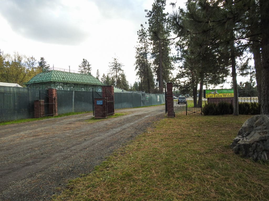 Cat Tales Wildlife Center in Spokane