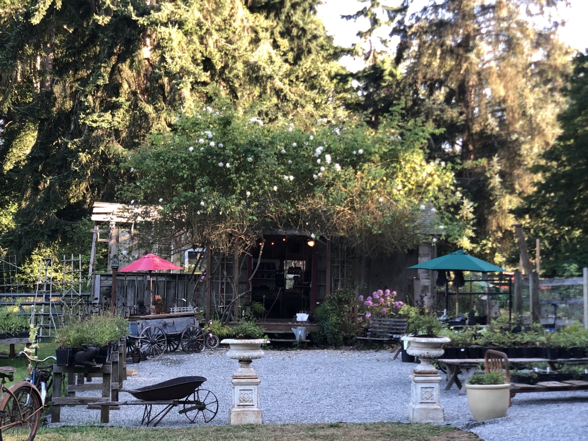 View at the Chocolate Flower Farm on Whidbey Island