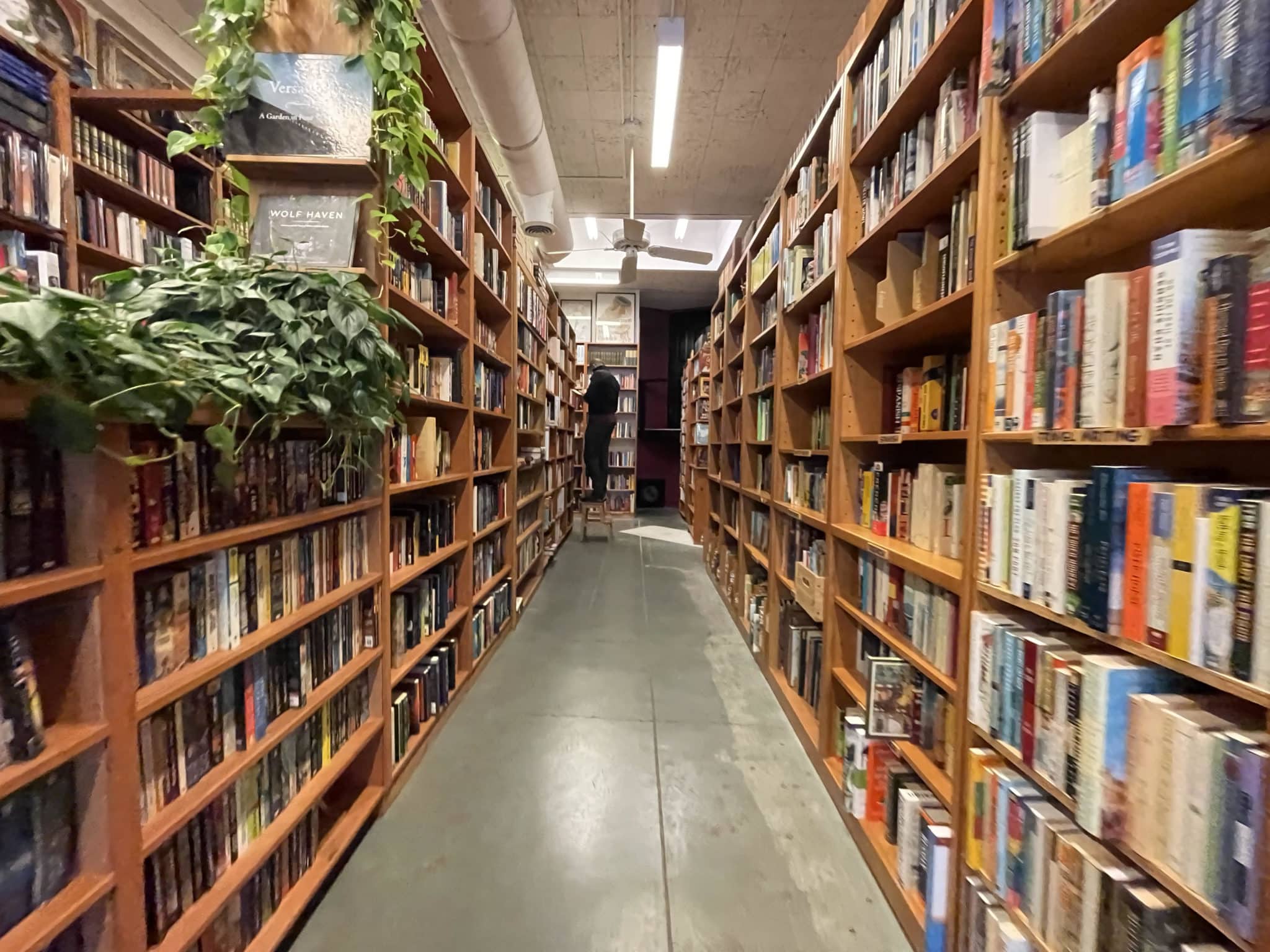 Mercer Street Books in Seattle, WA