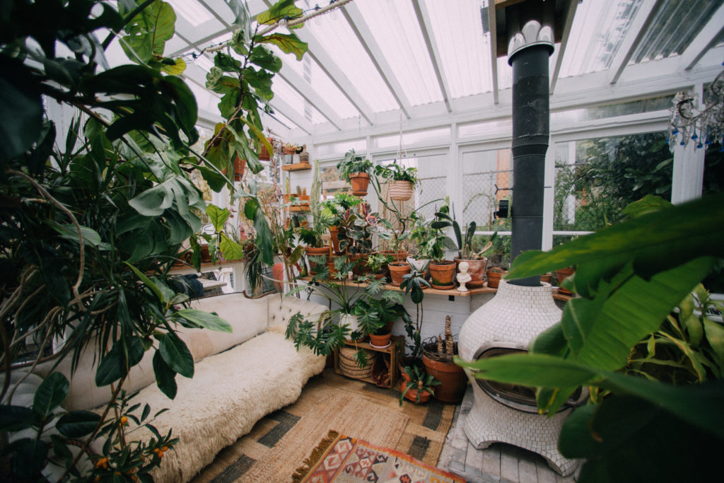 inside greenhouse