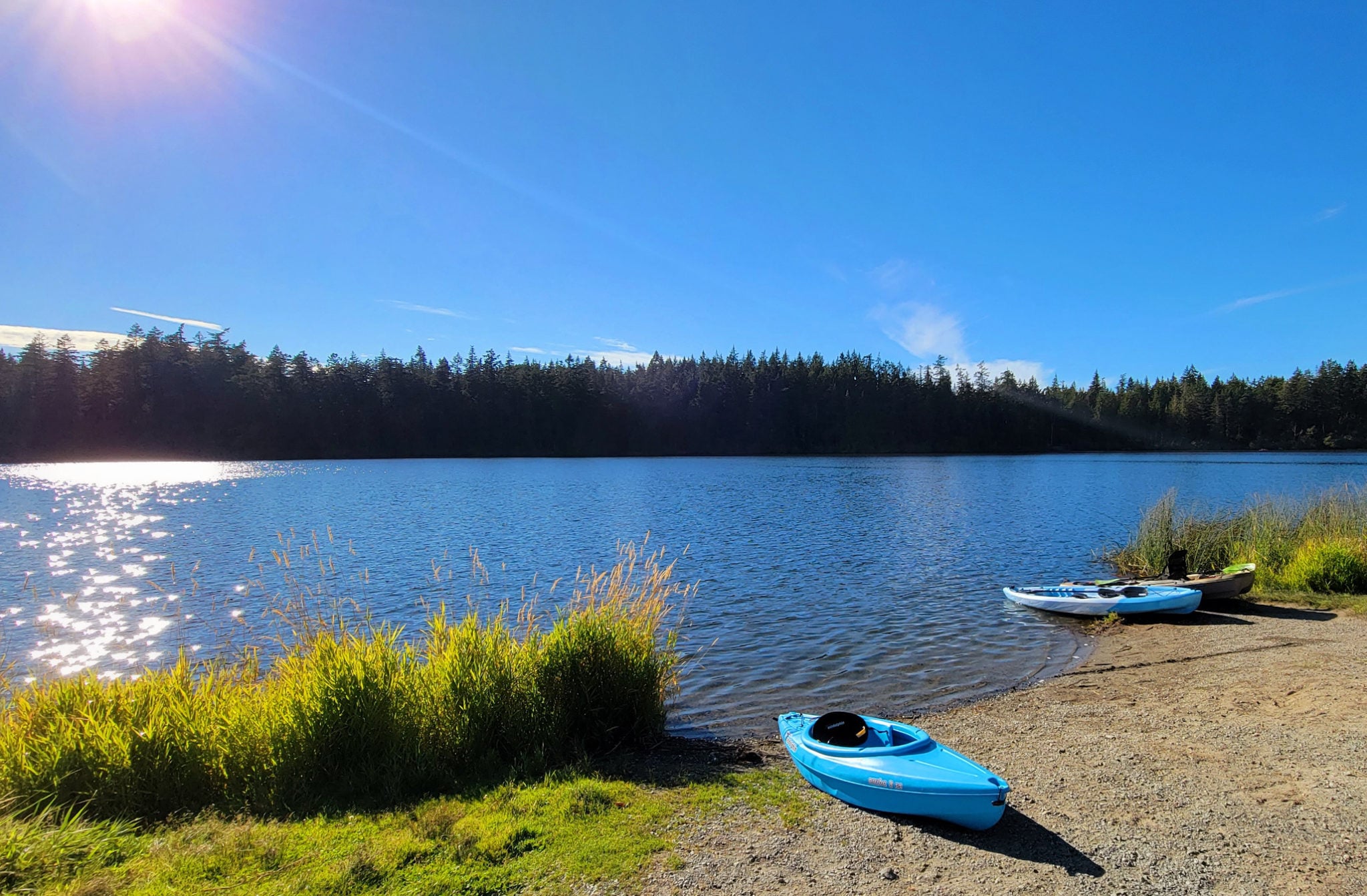 Anacortes Community Forest views