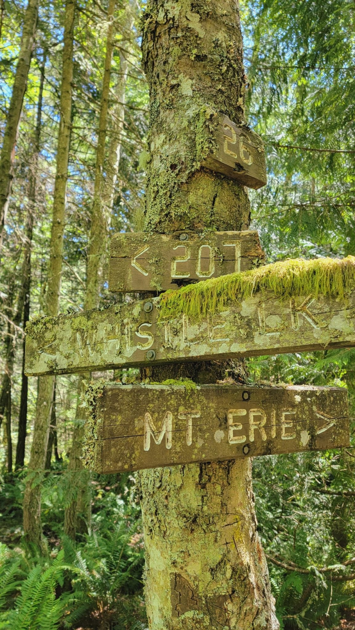 signage on the Anacortes Community Forest