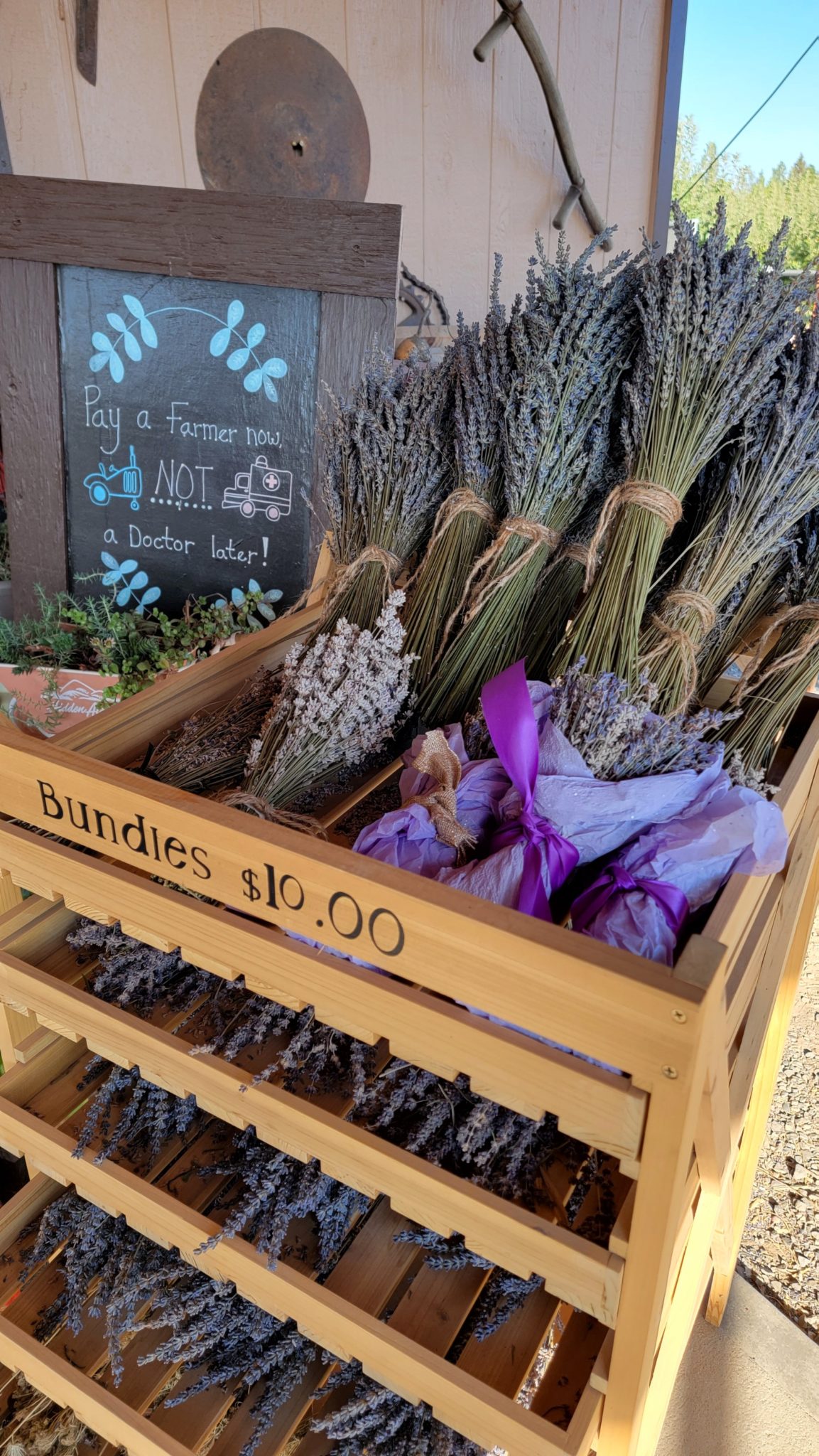 lavender from Spokane