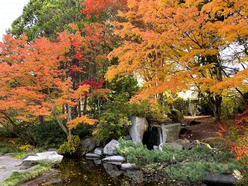 fall colors