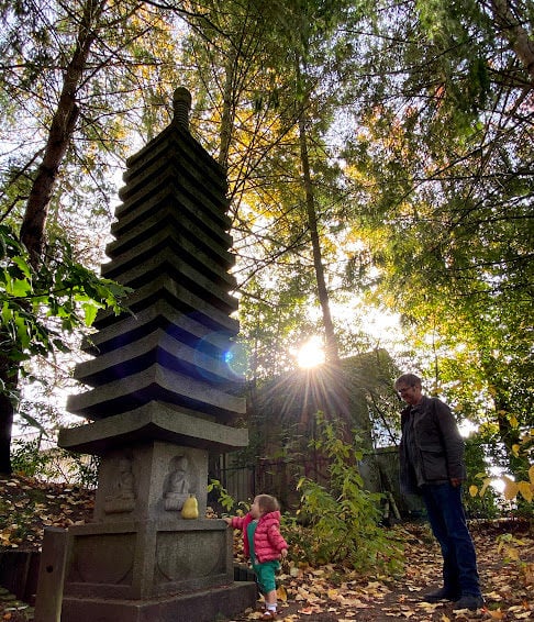 japanese garden
