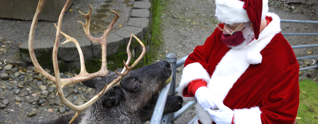 issaquah reindeer fest
