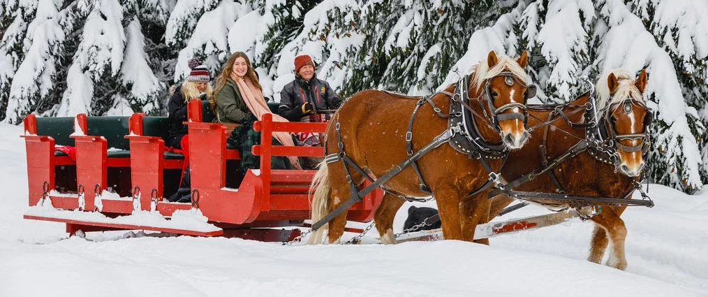 sleigh ride