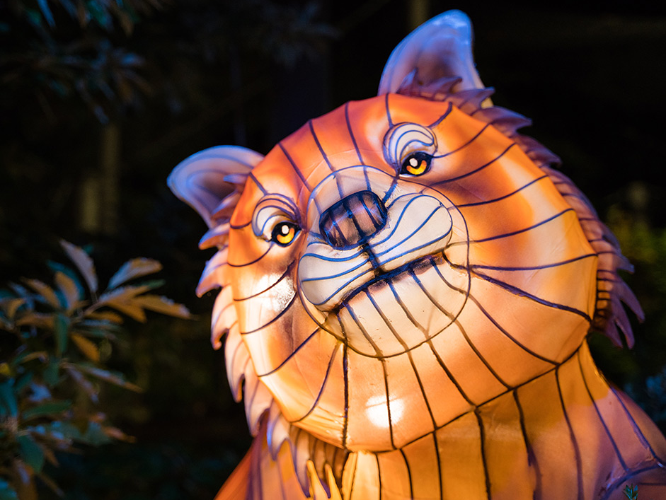 zoo lantern