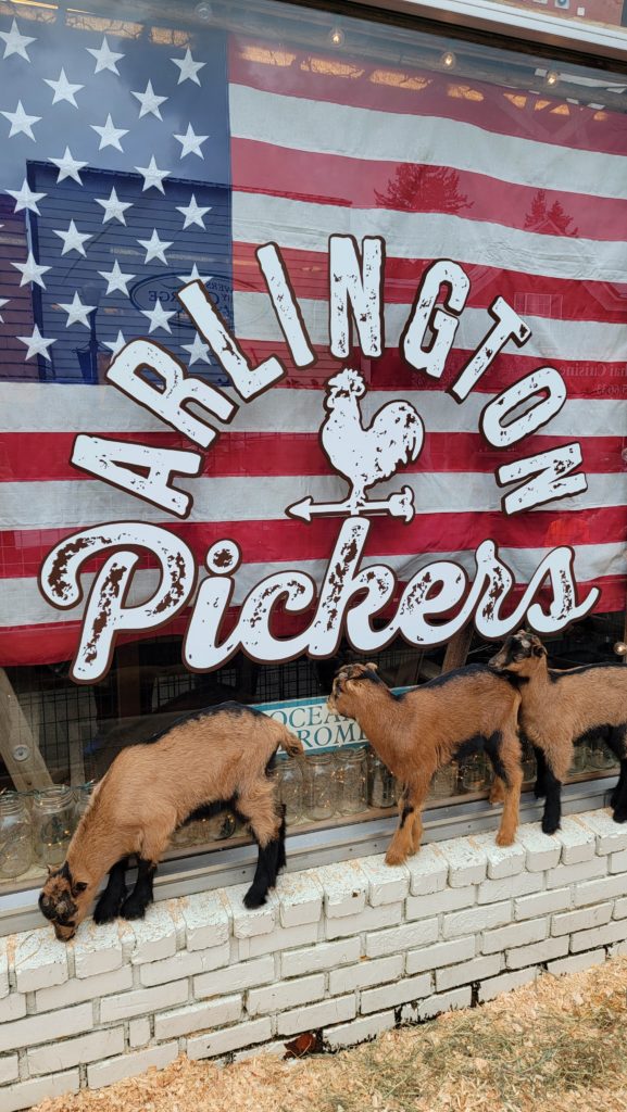 The Petting Zoo Goats under the Arlington Pickers Sign