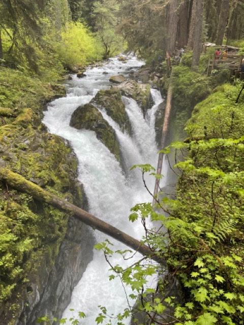 Sol Duc Falls