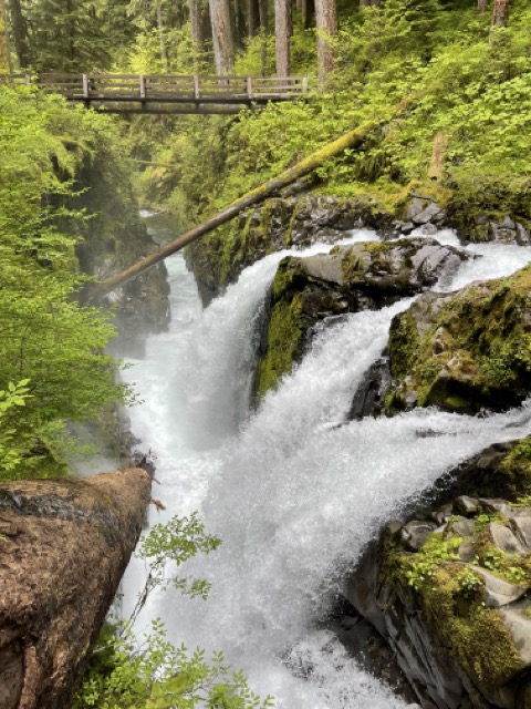 sol duc falls trail