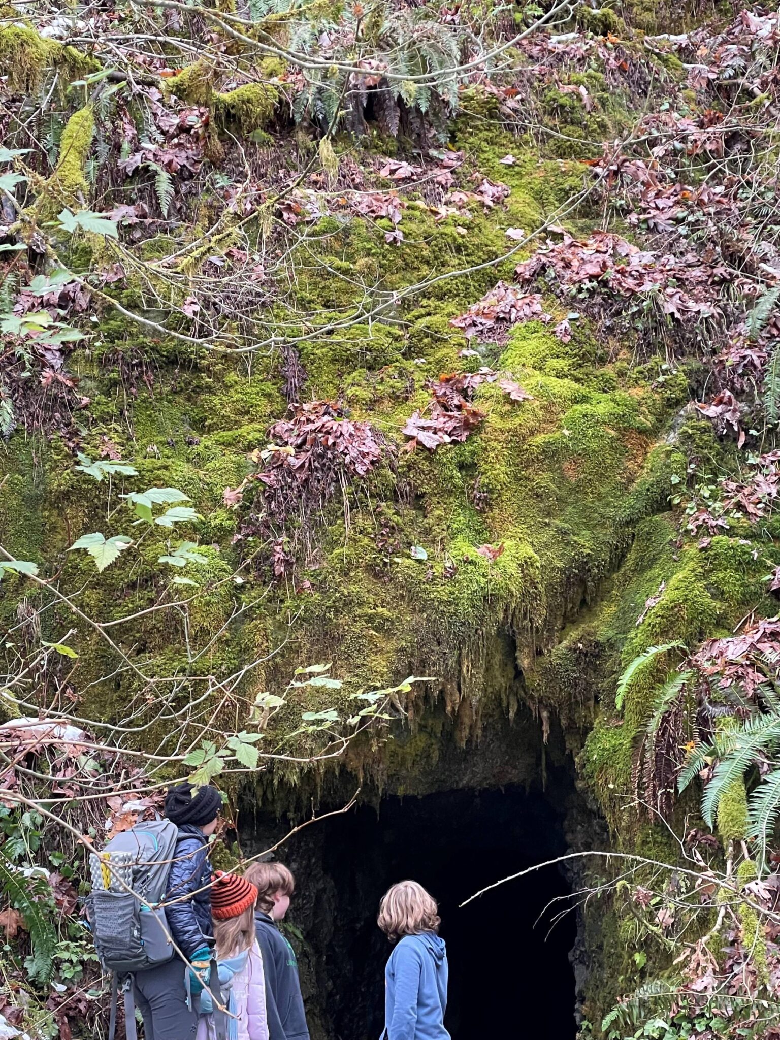 Mine Road Trail Mine Road Trail