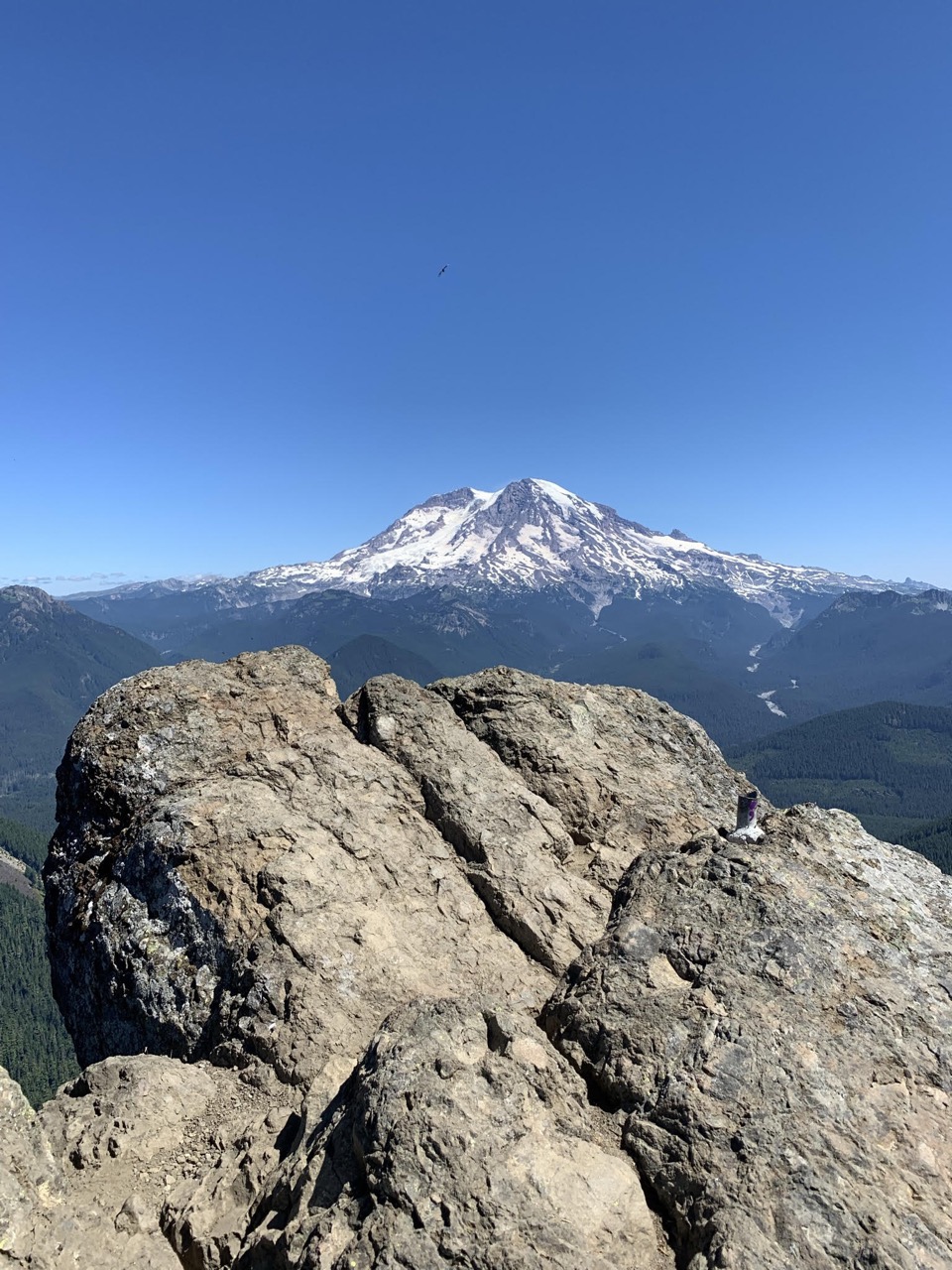 view from fire lookout Large