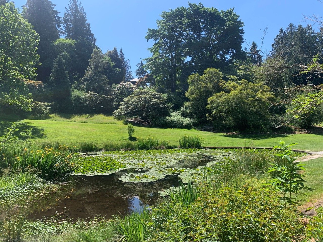 Washington Park Arboretum Large Washington Park Arboretum, Accessible trail