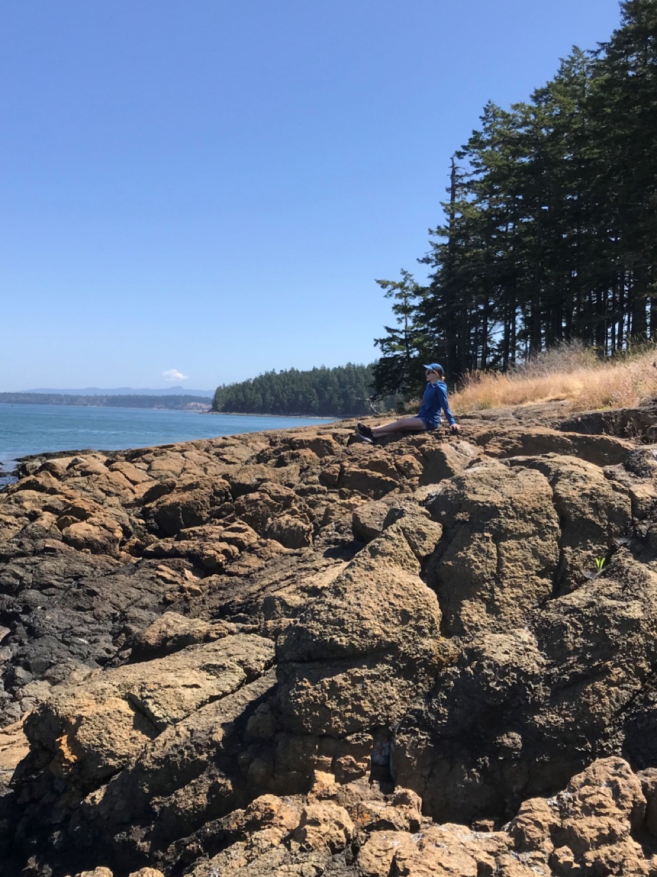 Scenic Overlook Loop Trail