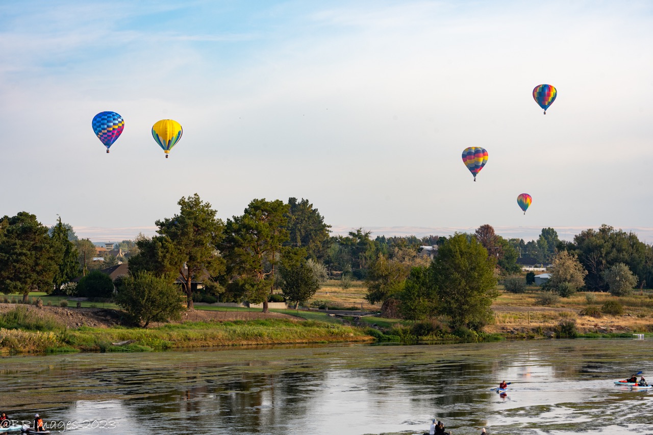 prosser balloon rally wide shot