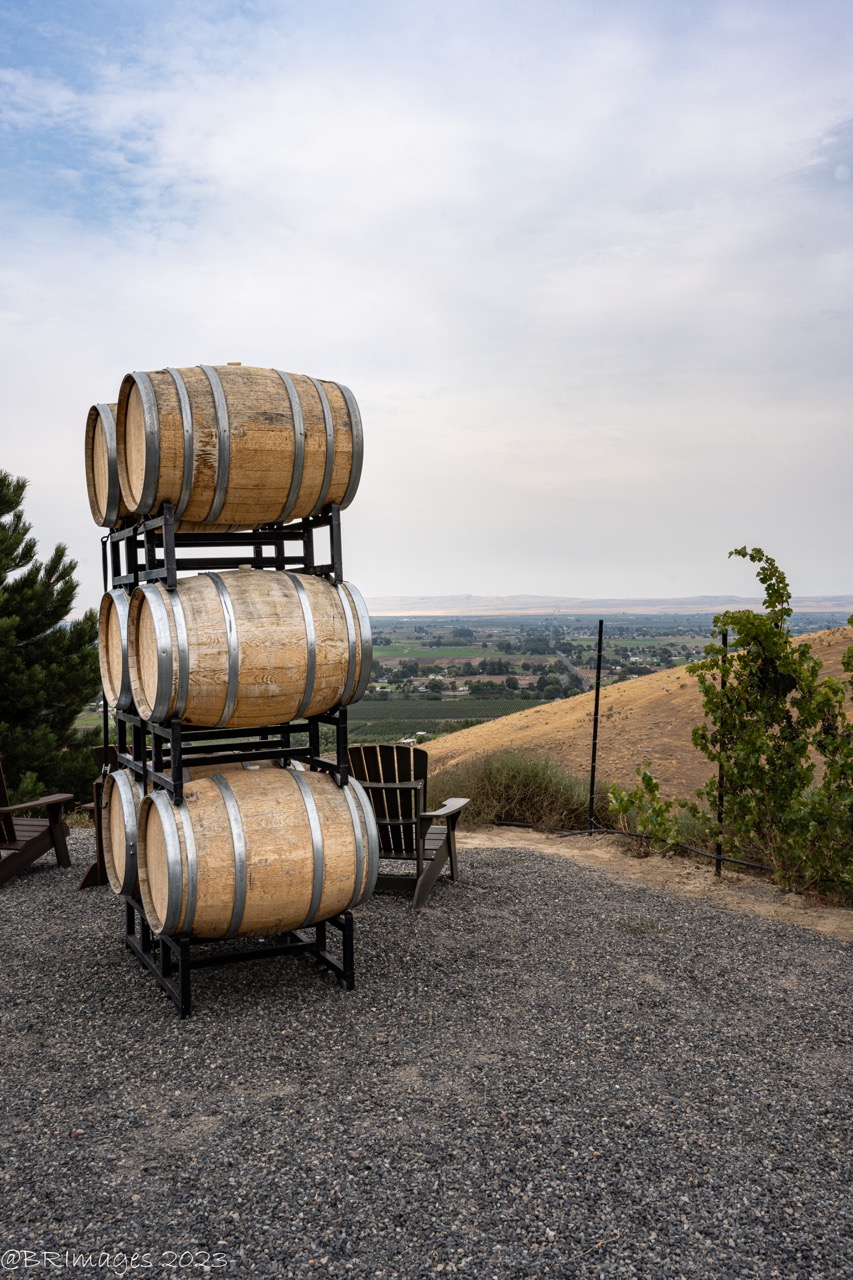 Prosser wineries