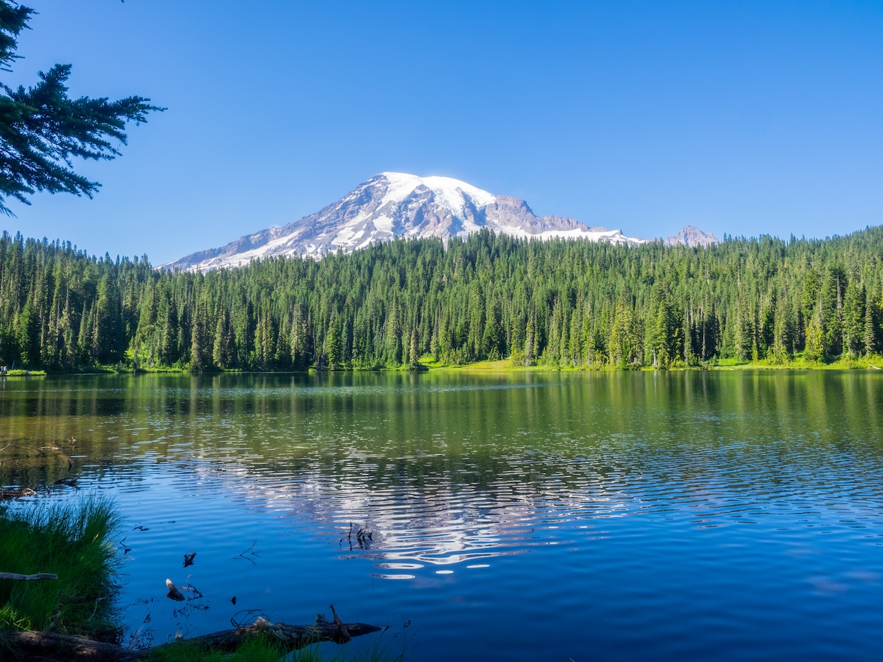 Mount Rainier reflection in lake Mount Rainier reflection in lake