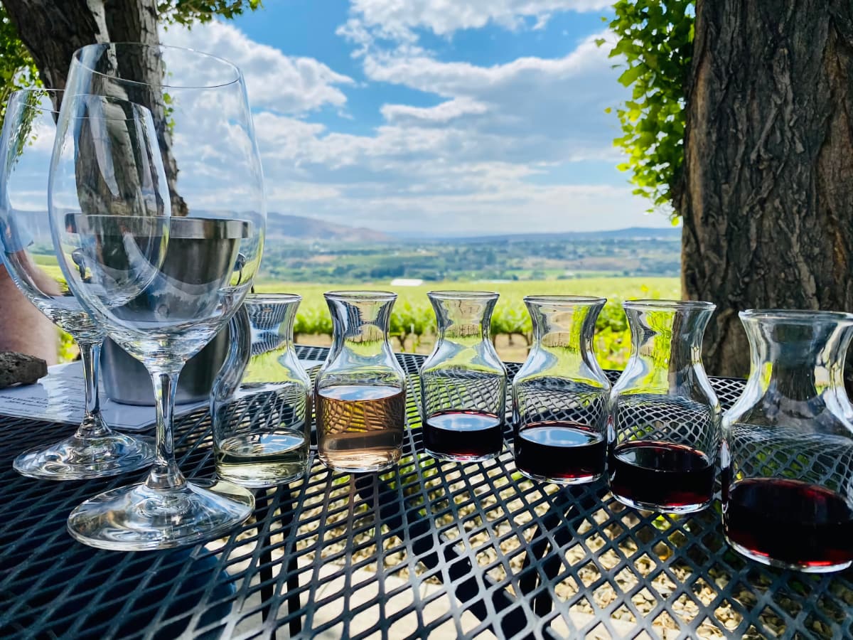 Wine country before the heat arrives.