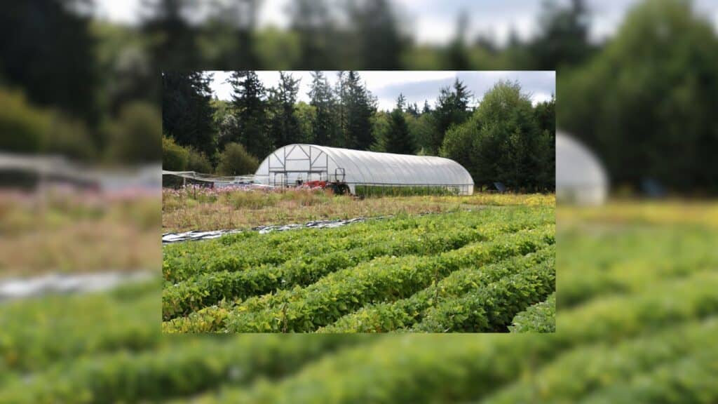 Organic Farm School Judy Feldman