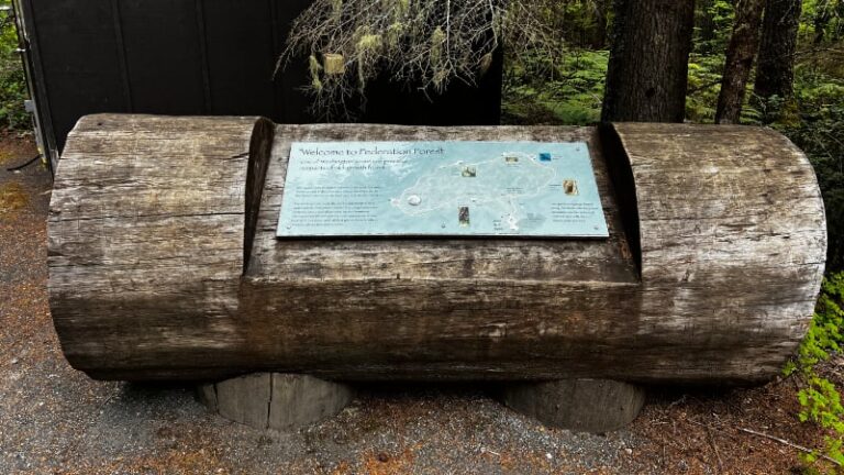 Federation Forest State Park Old Growth Timber Log