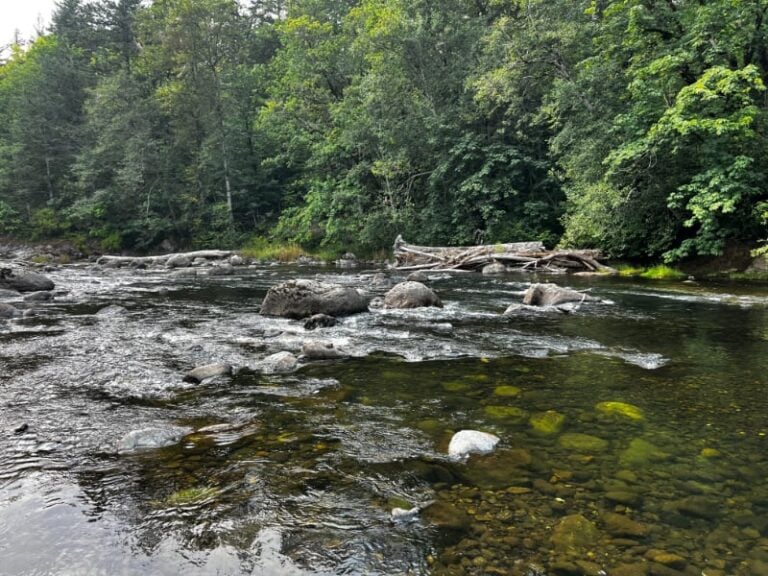 Green River at Kanaskat-Palmer State Park
