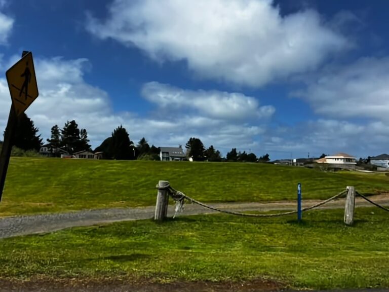 Photo by Scott Cowan