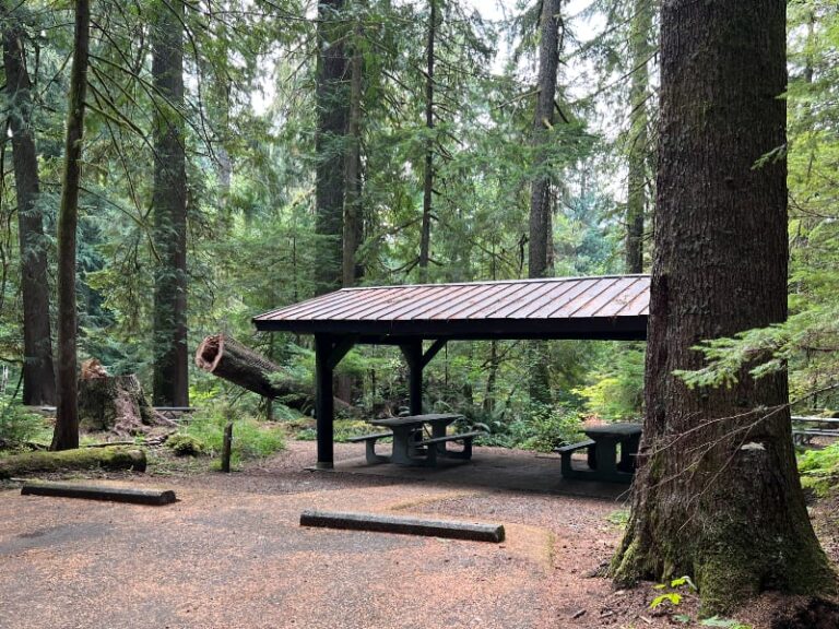 Picnic Shelter Federation Forest State Park