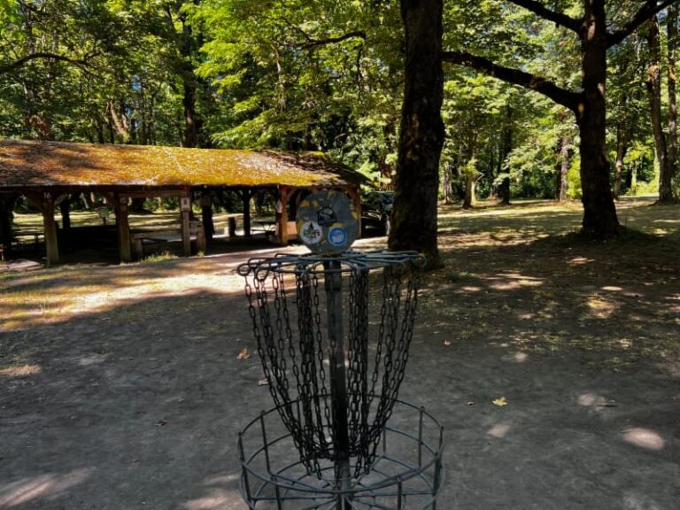 Riverside Disc Golf Course Basket 2 768x576