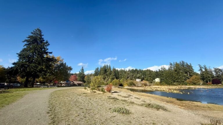 Trail at Belfair State Park