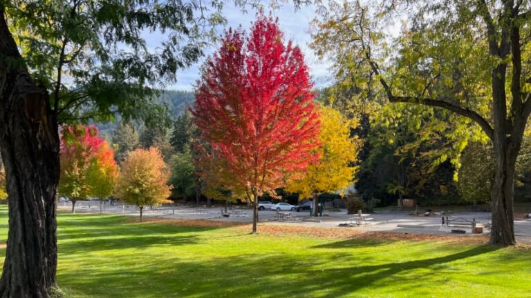 Fall Colors at Lake Chelan State Park