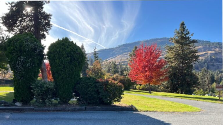 Fall Colors at Twenty-Five Mile Creek State Park