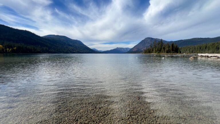 Lake Wenatchee Shoreline 768x432