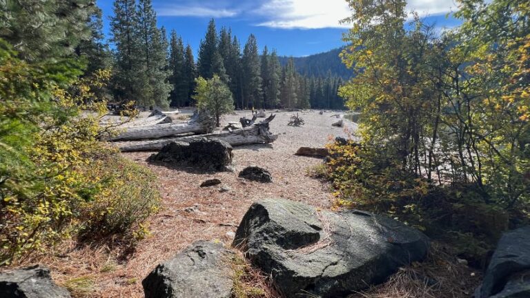 Lake Wenatchee State Park Shoreline 768x432