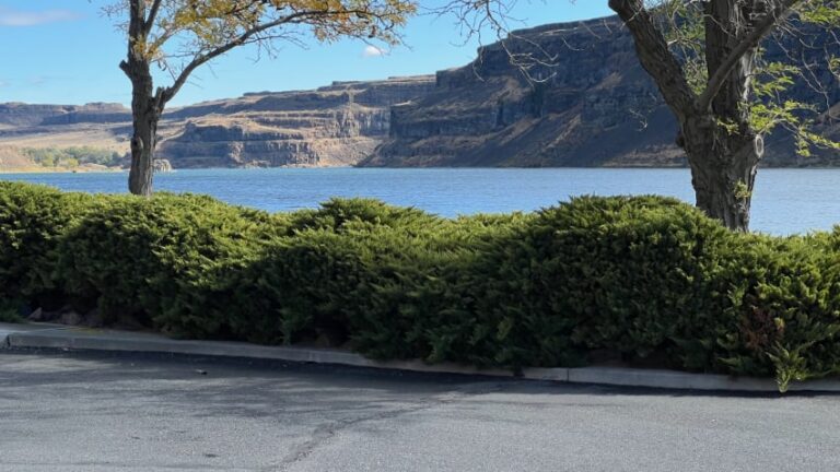 View at Blue Lake Rest Area SR 17 Multidirectional