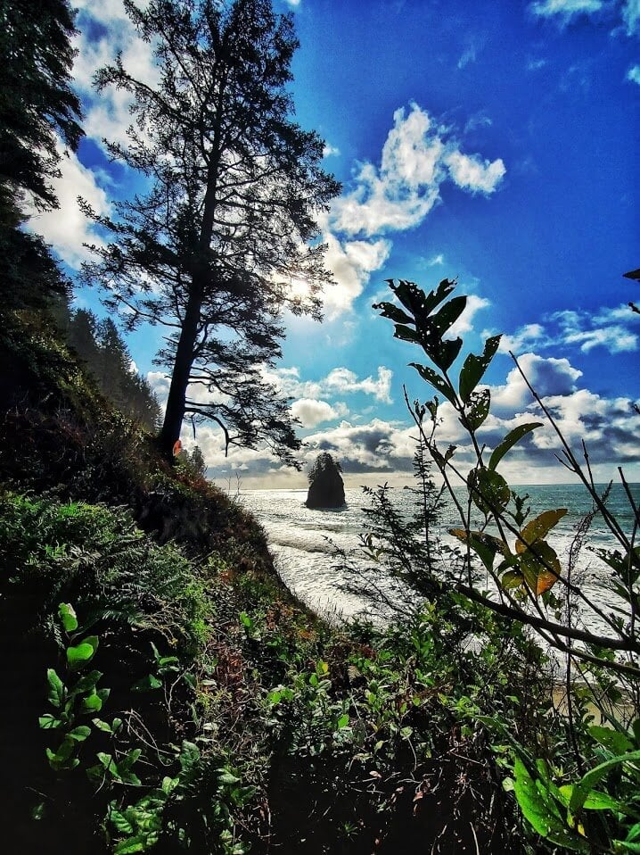 New Year's Day Hikes Washington